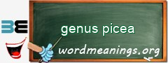 WordMeaning blackboard for genus picea